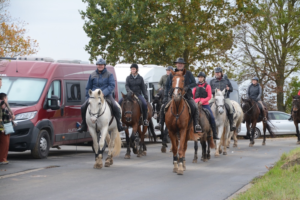 DSC_0039.JPGheight=10px